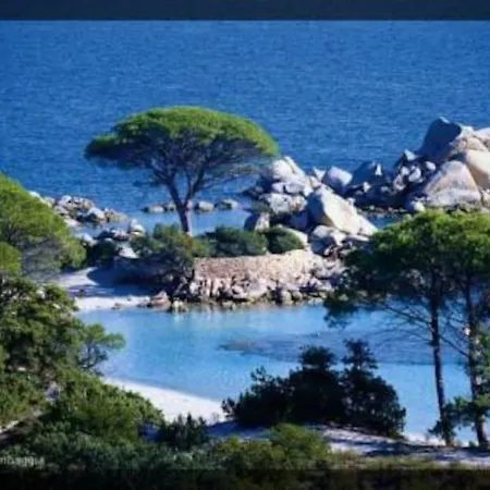 A 200m Du Centre De Vecchio. Semesterbostad Porto-Vecchio (Corsica)