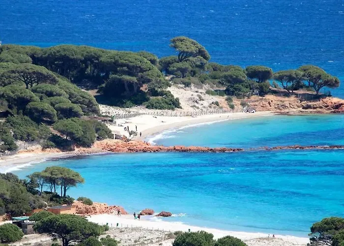 A 5 Minutes A Pied Du Centre De Vecchio Vakantiehuis *