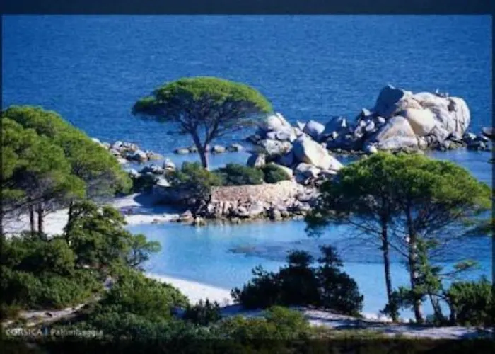 A 5 Minutes A Pied Du Centre De Vecchio Nyaraló Porto-Vecchio